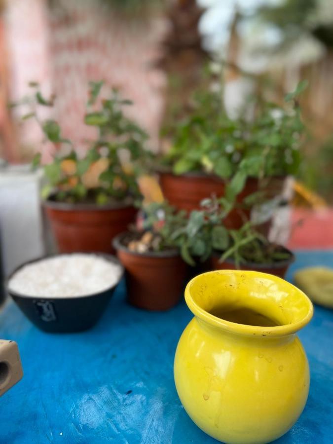 La Sardina Pansiyon Todos Santos Dış mekan fotoğraf