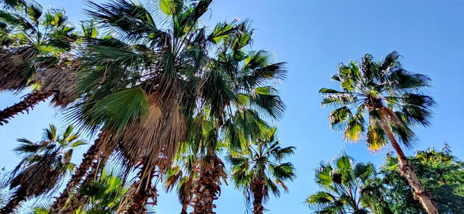 La Sardina Pansiyon Todos Santos Dış mekan fotoğraf