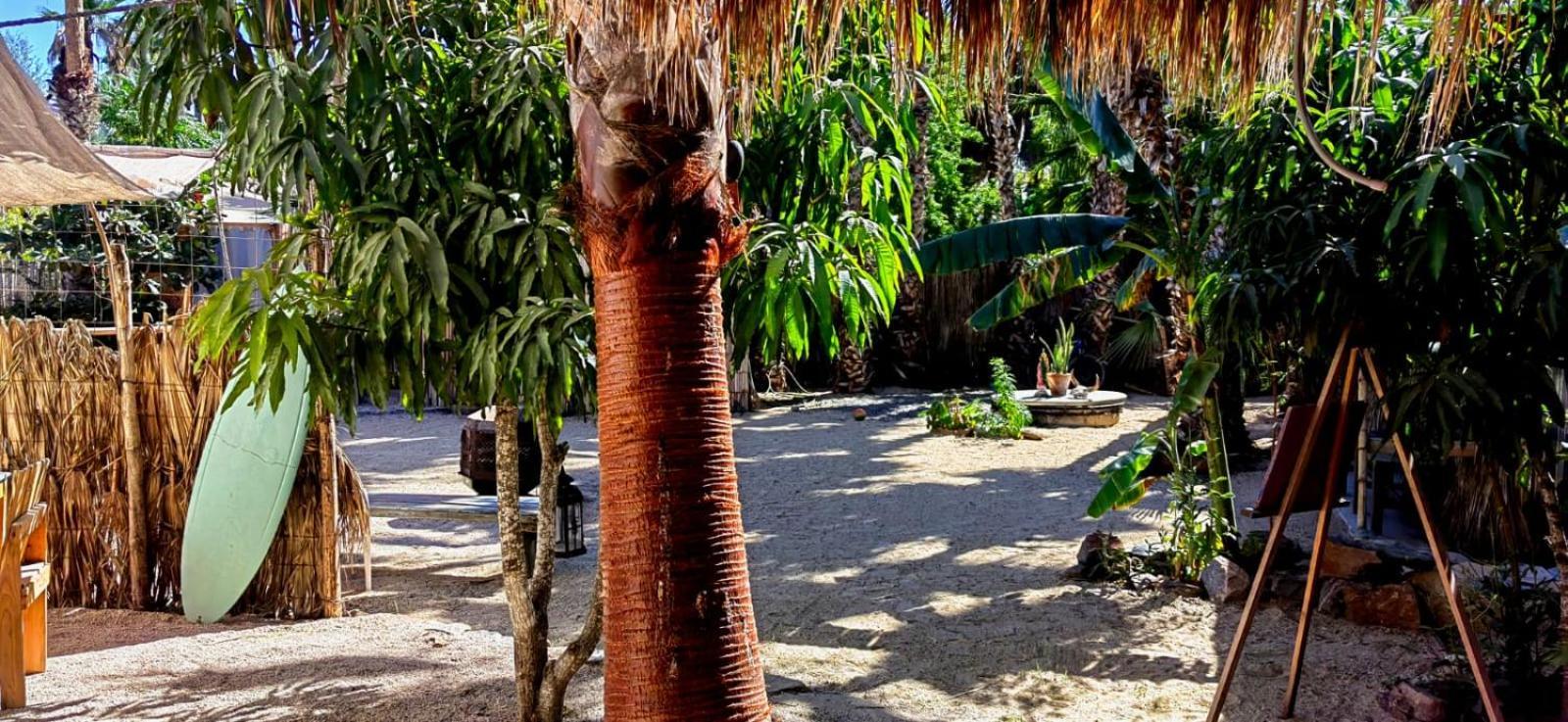 La Sardina Pansiyon Todos Santos Dış mekan fotoğraf