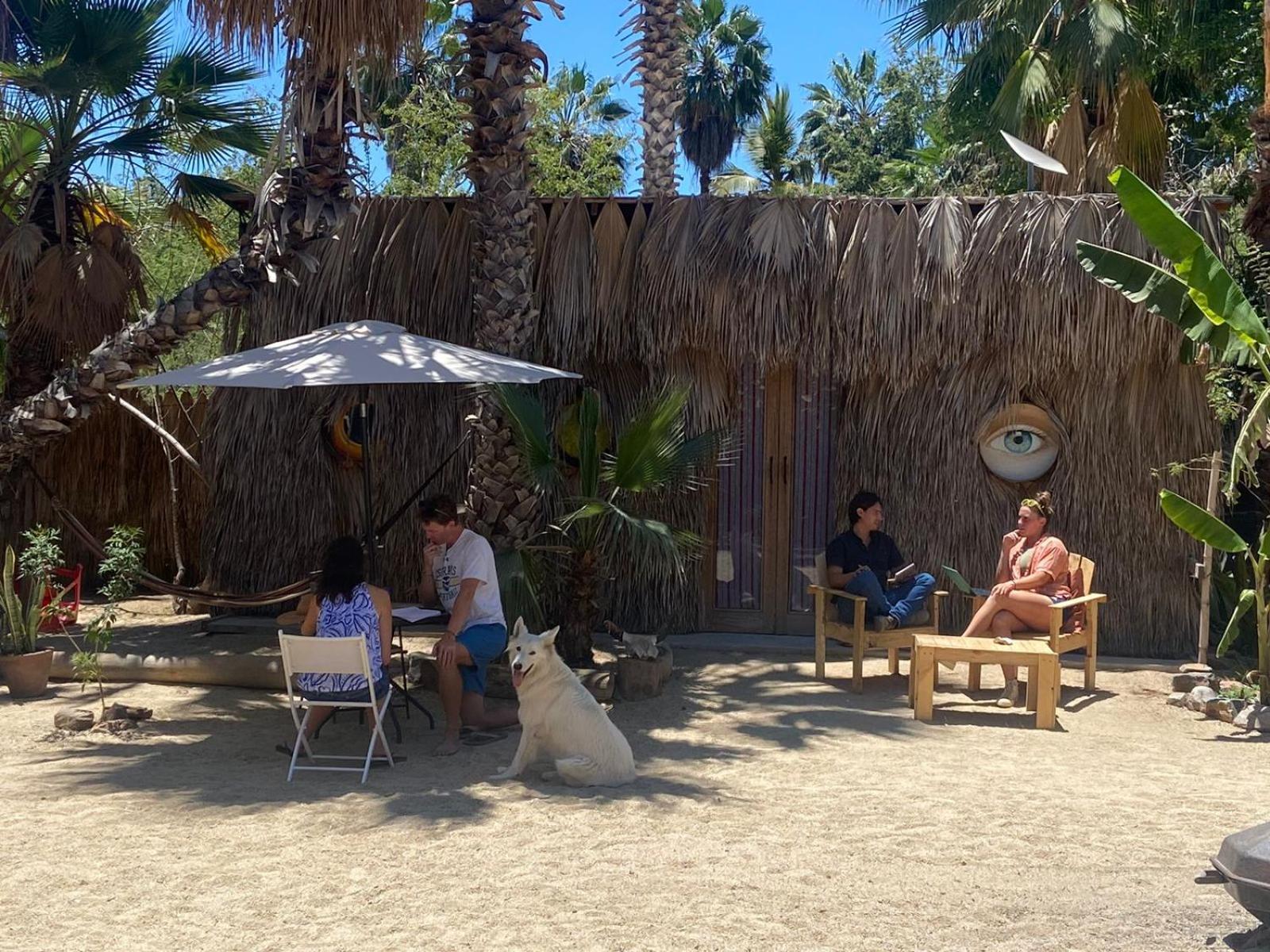 La Sardina Pansiyon Todos Santos Dış mekan fotoğraf